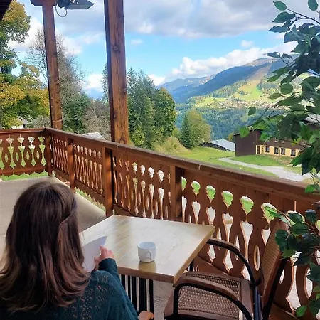 Hotel Les balcons du Mont-blanc - Chalet 2